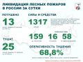 За прошедшие сутки в России потушено 13 лесных пожаров в 9 регионах