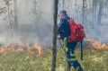 Все природные пожары потушили на Ямале