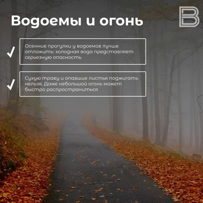 Прогулки осенью: каких правил безопасности стоит придерживаться Прогулки осенью: каких правил безопасности стоит придерживаться