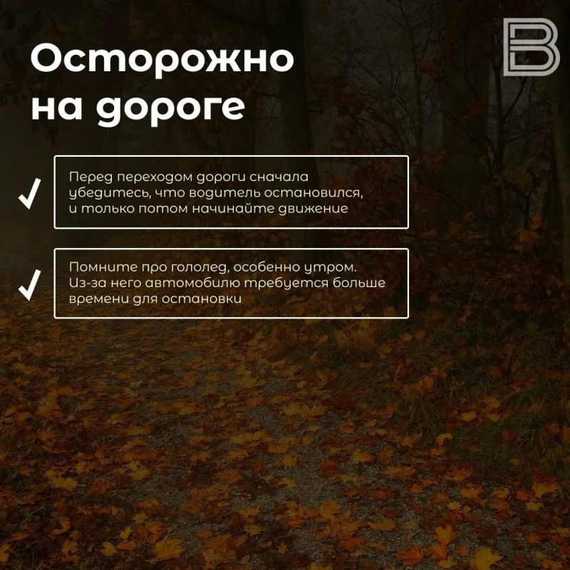 Прогулки осенью: каких правил безопасности стоит придерживаться Прогулки осенью: каких правил безопасности стоит придерживаться