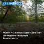 В лесах Тарко-Сале отменен режим ЧС. Несмотря на это, ямальцев просят соблюдать правила пожарной безопасности: не разводить костры в сухую ветреную погоду, не бросать стекло и окурки