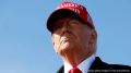 Выплатить $5 тыс. каждому взрослому американцу пообещал Дональд Трамп, если республиканцы победят на ноябрьских выборах в Конгресс