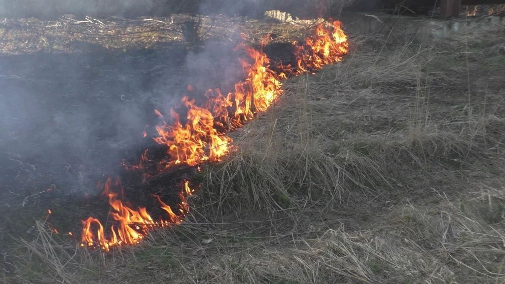 Жаркая и сухая погода спровоцировала природные пожары на Ямале