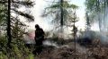 На Ямале действуют 35 природных пожаров