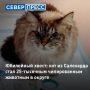 ��� ��� �� ��������� ���� 25-�������� ������������������ �������� �� �����