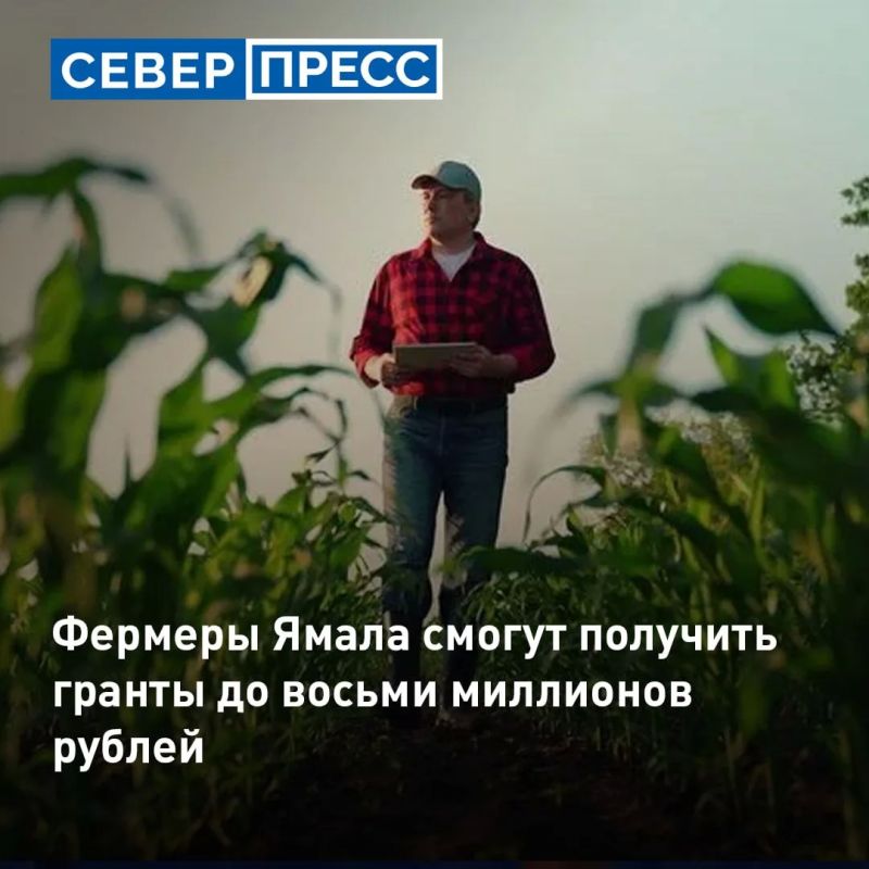 В ЯНАО объявлен новый отбор на гранты для развития крестьянских фермерских хозяйств