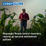 � ���� �������� ����� ����� �� ������ ��� �������� ������������ ���������� ��������