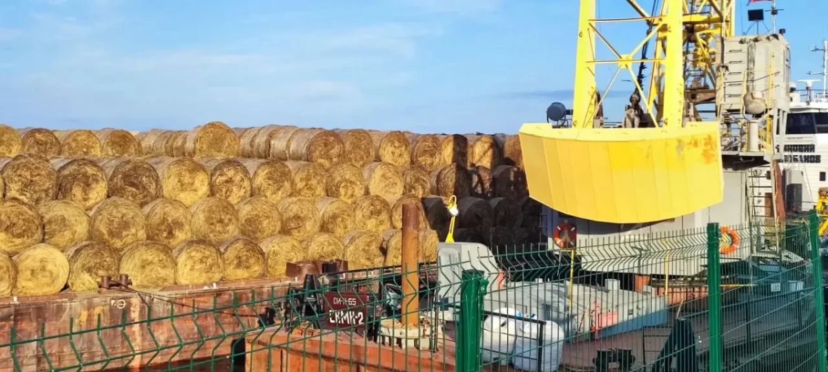 Сельхозпредприятия Приуральского района формируют запас кормов на зиму Сельхозпредприятия Приуральского района формируют запас кормов на зиму
