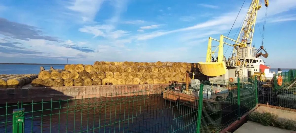 Сельхозпредприятия Приуральского района формируют запас кормов на зиму Сельхозпредприятия Приуральского района формируют запас кормов на зиму