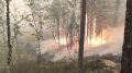 Огнеборцы сдерживают 29 действующих лесных пожаров