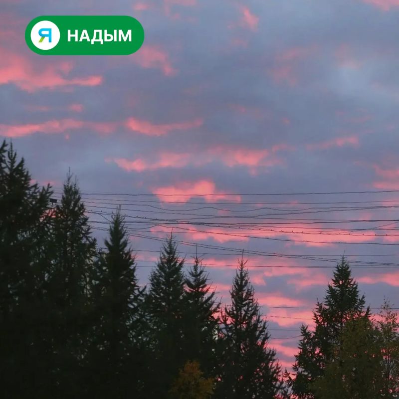 Есть что-то особенное в вечернем Надыме Есть что-то особенное в вечернем Надыме