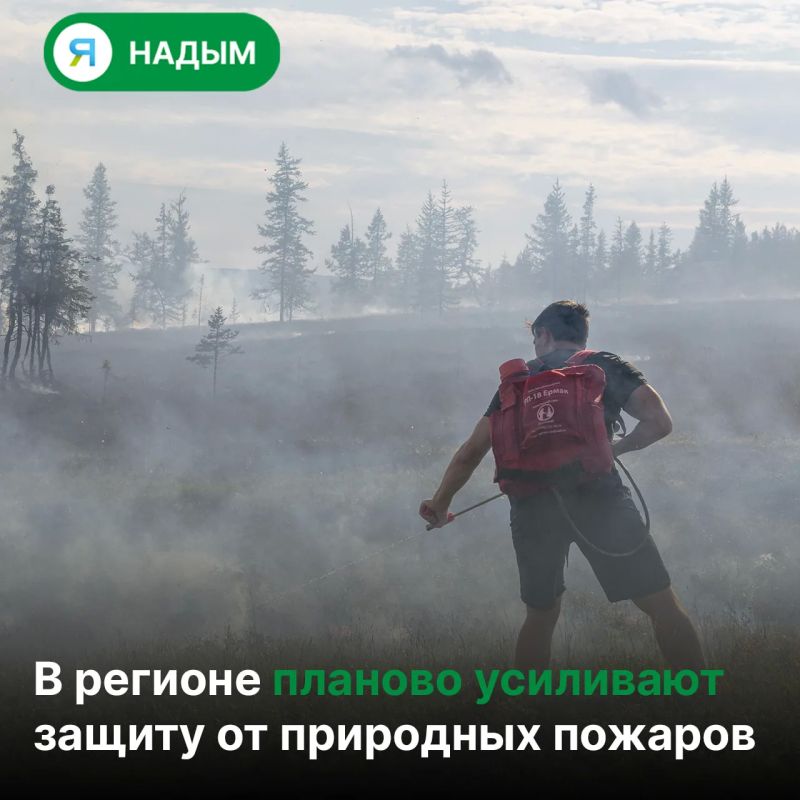 Парашютисты-десантники из ХМАО помогают тушить лесные пожары на Ямале