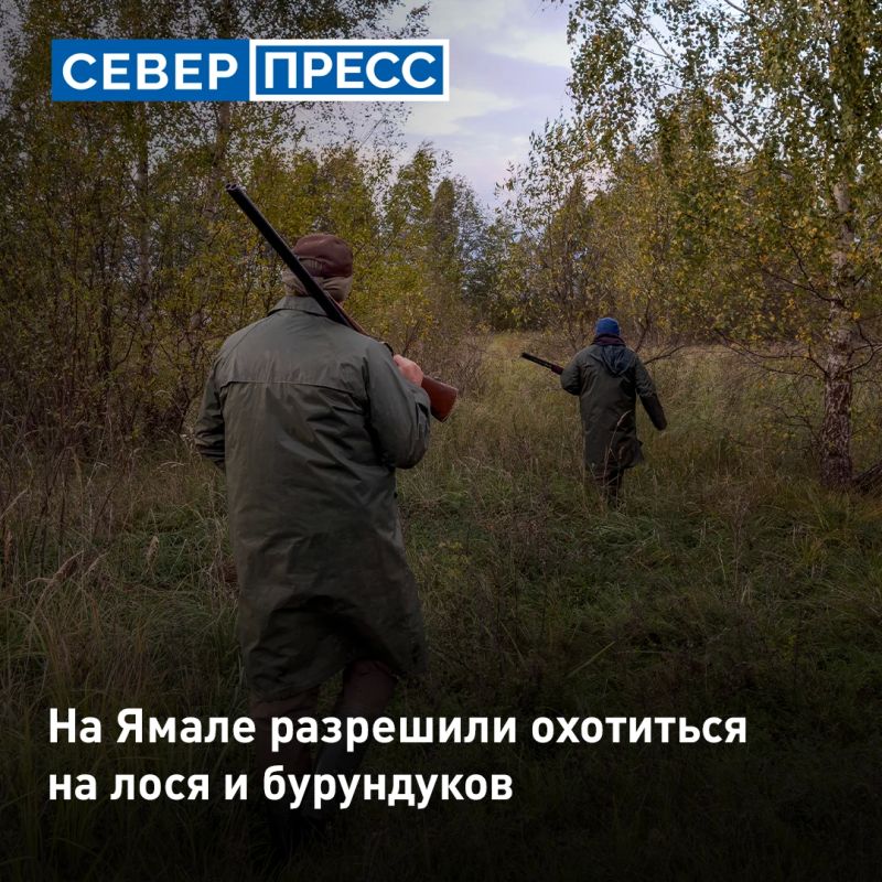 На Ямале начался сезон охоты на лося, зайца-беляка, лисицу и бурундука