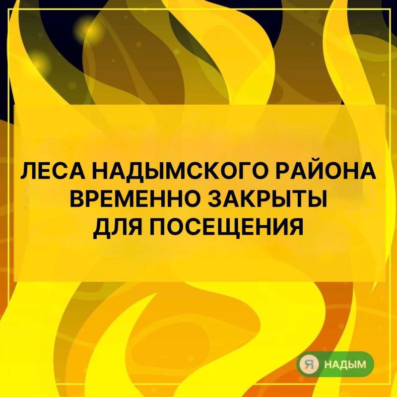 В Надымском районе введён режим чрезвычайной ситуации в леса