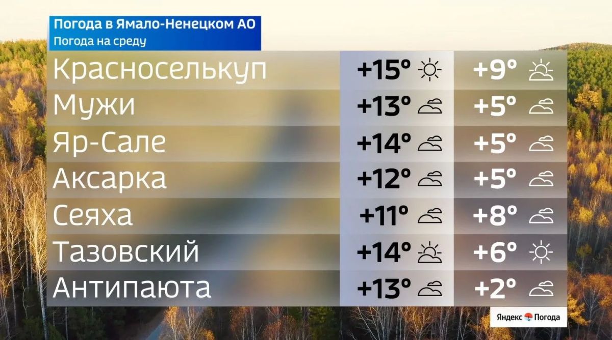 Среда принесёт на Ямал осеннюю прохладу Среда принесёт на Ямал осеннюю прохладу