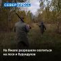 На Ямале начался сезон охоты на лося, зайца-беляка, лисицу и бурундука