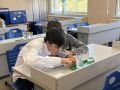На Ямале тестируют курс по ранней профориентации школьников
