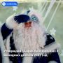 �������� ������ ����������� � �������� ���� �� 2027 ���