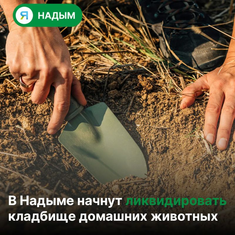До 19 сентября надымчане могут забрать памятные элементы с захоронений питомцев