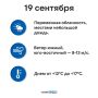 ������ �� ����� 19 ��������