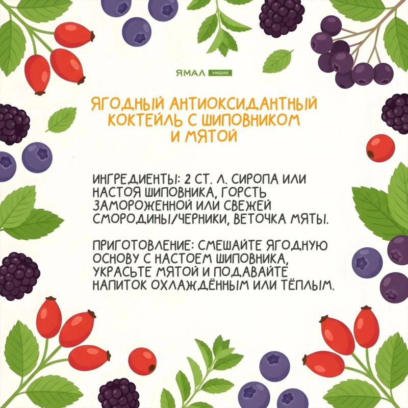 Советы по уменьшению «Апчхи!» Советы по уменьшению «Апчхи!»
