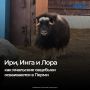 ��������� �������� ���, ���� � ���� ��������� � �������� ������� � ������� 2025 ����