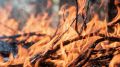 На Ямале за сутки прибавилось 9 лесных пожаров — всего 46 очагов