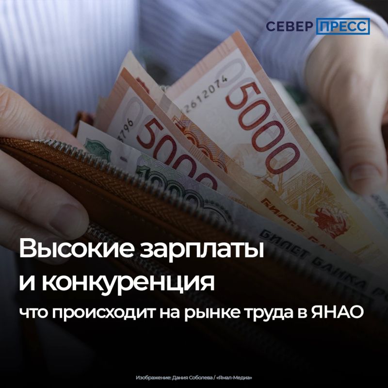 На Ямале, несмотря на рост числа вакансий в августе, конкуренция среди соискателей остается высокой — почти шесть человек на одного работодателя