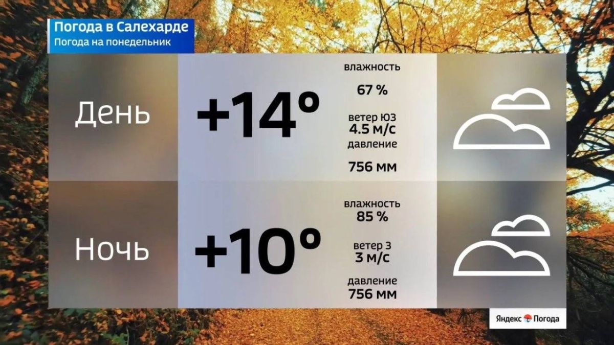 Погода на Ямале на понедельник Погода на Ямале на понедельник
