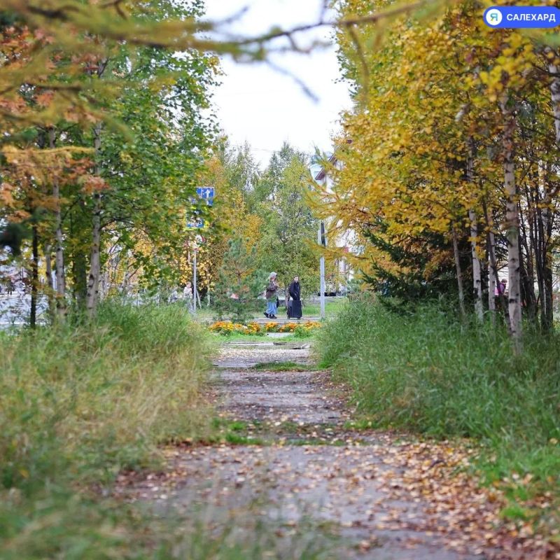 Кто о чём, а мы — об осени Кто о чём, а мы — об осени
