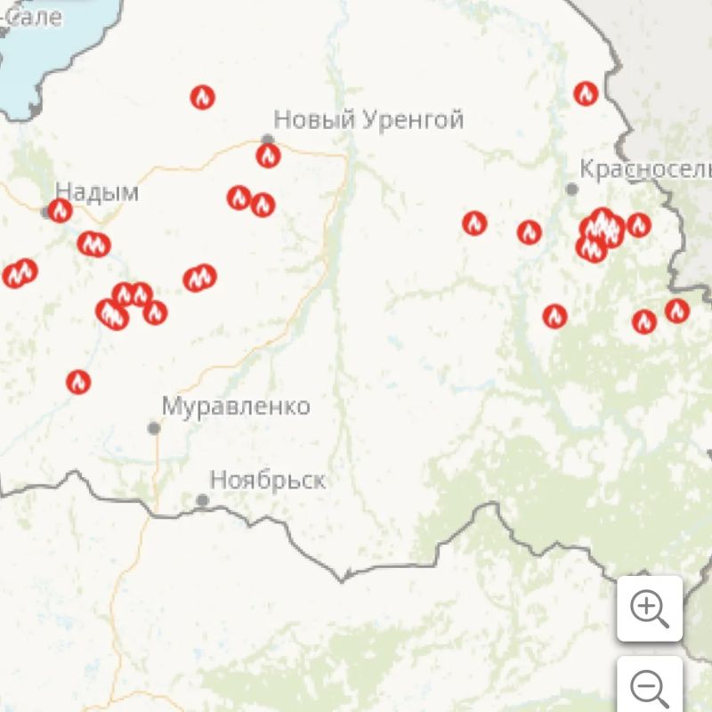 Количество природных пожаров на Ямале выросло вдвое за неделю