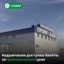 Из Надыма — в Тюмень и Москву за 2500 рублей: кто может купить льготный билет