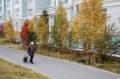 Ямальская золотая осень на исходе, впереди — первые холода