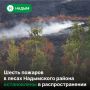 Большую часть природных пожаров в Надымском районе удалось локализовать