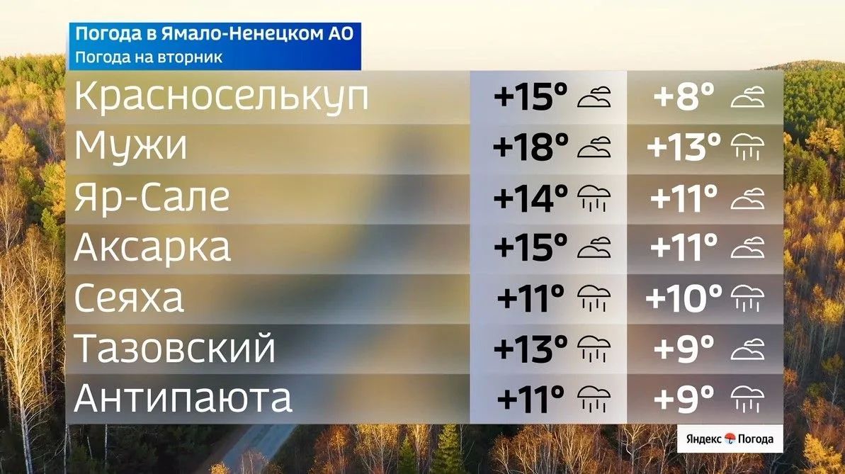 Дождливый вторник принесёт Ямалу до +18 °C Дождливый вторник принесёт Ямалу до +18 °C