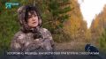 Перед спячкой медведей тянет ближе к людям