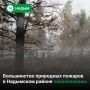 Спасатели остановили распространение восьми природных пожаров на площади 2 940 гектаров