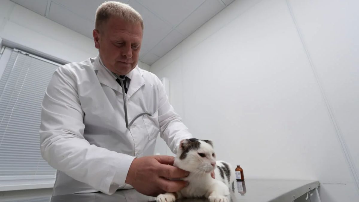 Ямальский ветеринар получил почётное звание