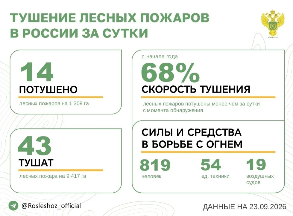 За прошедшие сутки в 9 регионах России потушили 14 лесных пожаров