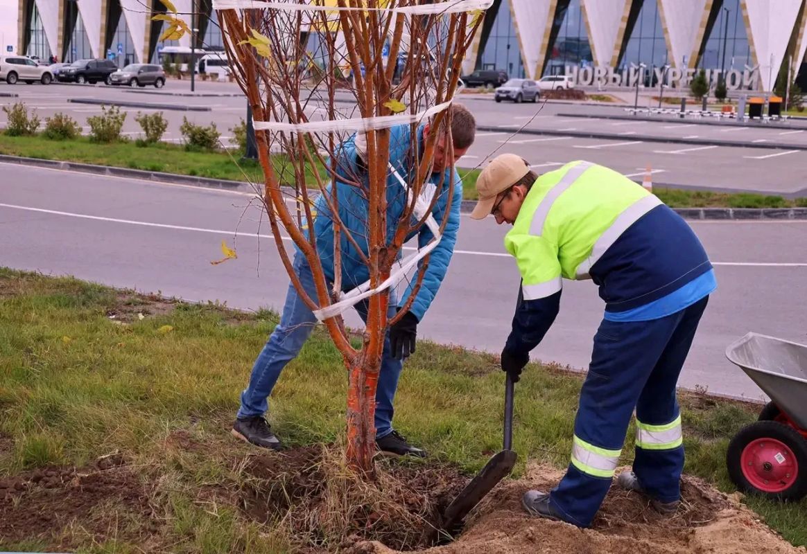 У аэропорта Нового Уренгоя стало ещё зеленее! У аэропорта Нового Уренгоя стало ещё зеленее!