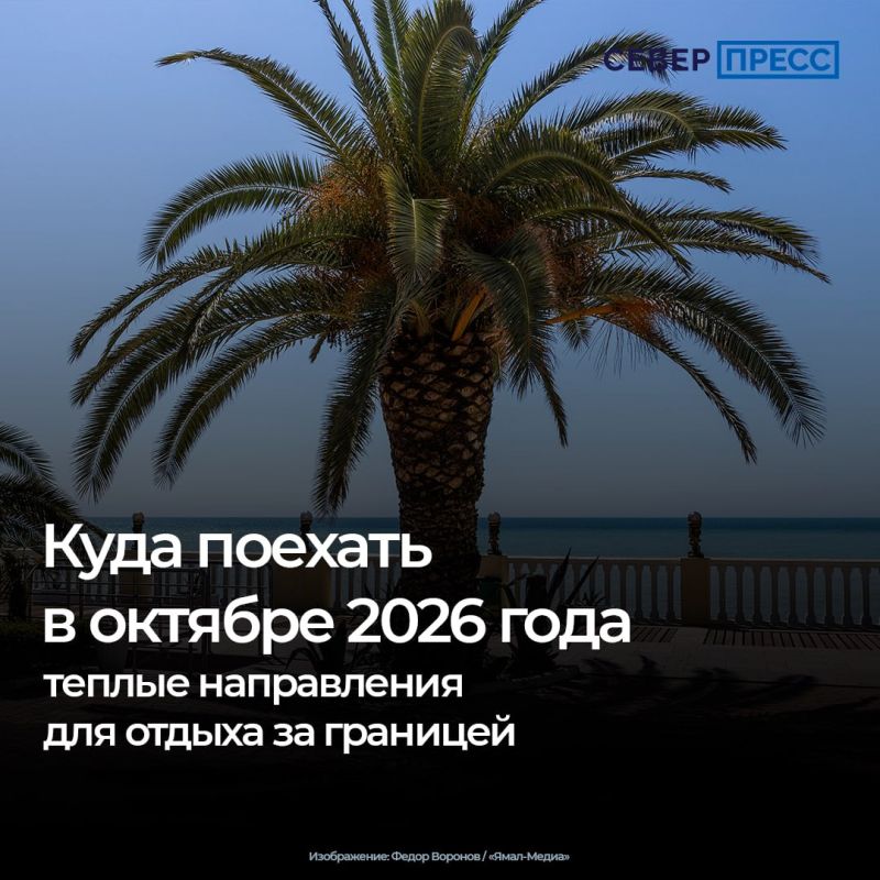 Октябрь на Ямале — это зима по меркам юга: первый снег, минусовые температуры и полярная ночь не за горами