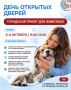 День открытых дверей в приюте Ноябрьска