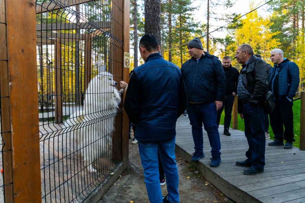 Этногид по Ноябрьску: гости города познакомились с историей и культурой Ямала! Этногид по Ноябрьску: гости города познакомились с историей и культурой Ямала!