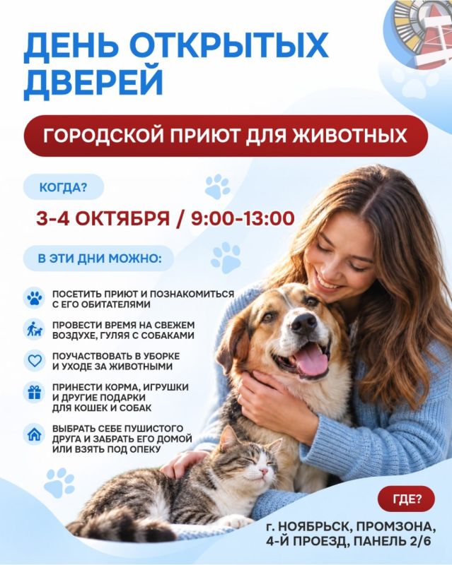 День открытых дверей в приюте Ноябрьска