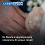 �� ����� � �������� ���� 26.09.2026 ���� ���� ���������������� 36 ���������� ���, �������� � �������� ������ ����