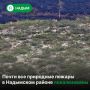 В Надымском районе действуют четыре природных пожара