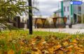 Синоптики предупредили о первых заморозках в Салехарде