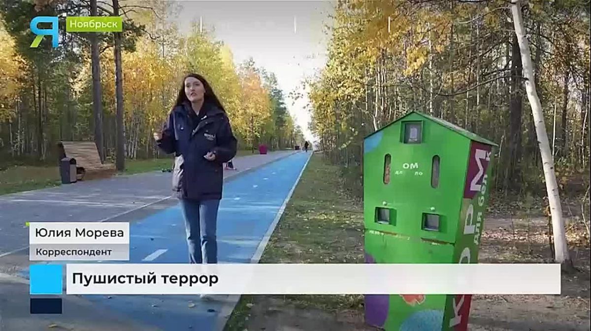 Рыжие разбойницы нападают на людей