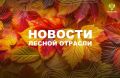 ТАСС: Кабмин рассмотрит выделение регионам средств на тушение лесных пожаров