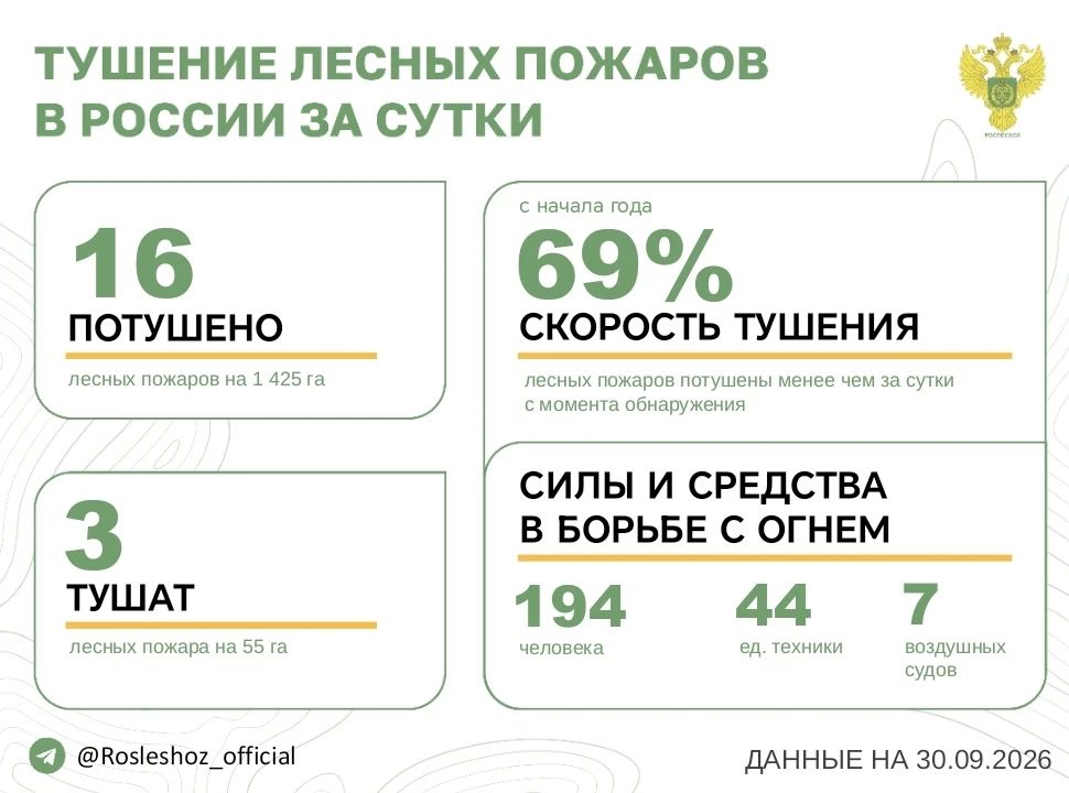 За прошедшие сутки в 9 регионах России потушили 16 лесных пожаров